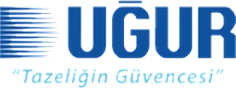Uğur